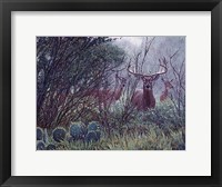 Framed Lone Star Whitetail