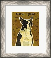 Framed Boston Terrier