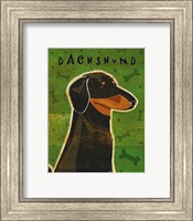 Framed Dachshund (black and tan)