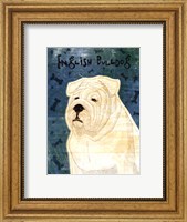 Framed English Bulldog