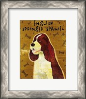 Framed English Springer Spaniel