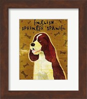 Framed English Springer Spaniel