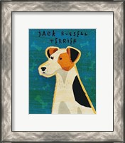 Framed Jack Russell Terrier