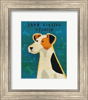 Framed Jack Russell Terrier