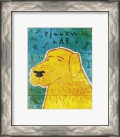 Framed Lab (yellow)