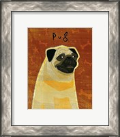 Framed Pug