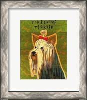 Framed Yorkshire Terrier