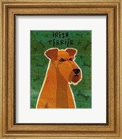 Framed Irish Terrier