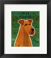Framed Irish Terrier