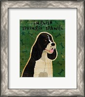 Framed English Springer Spaniel (black and white)