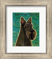 Framed Scottish Terrier