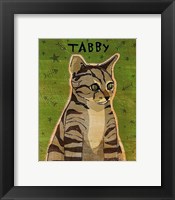 Tabby (grey) Framed Print