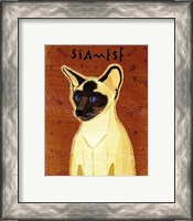 Framed Siamese