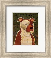 Framed Pit Bull