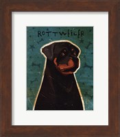 Framed Rottweiler