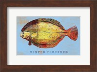 Framed Winter Flounder