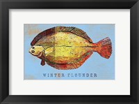 Winter Flounder Framed Print