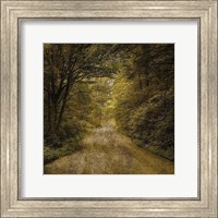 Framed Flannery Fork Road No. 1