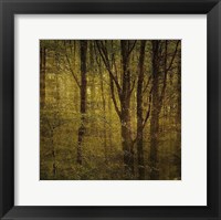 Fog in Mountain Trees No. 2 Framed Print