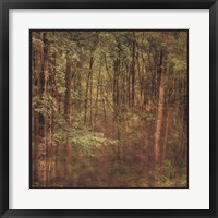 Fog in Mountain Trees Framed Print