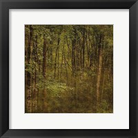 Fog in Mountain Trees Framed Print