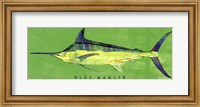 Framed Blue Marlin