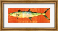 Framed King Mackerel