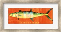 Framed King Mackerel