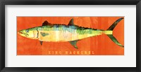 Framed King Mackerel