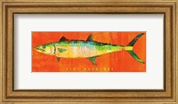 Framed King Mackerel