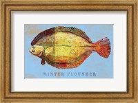 Framed Winter Flounder