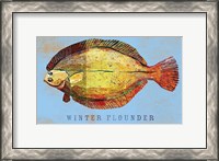 Framed Winter Flounder