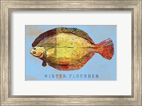 Framed Winter Flounder