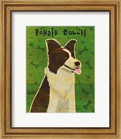 Framed Border Collie