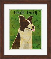 Framed Border Collie