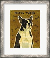 Framed Boston Terrier