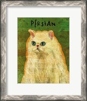 Framed Persian