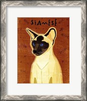 Framed Siamese