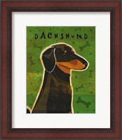 Framed Dachshund (black and tan)