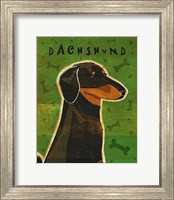 Framed Dachshund (black and tan)