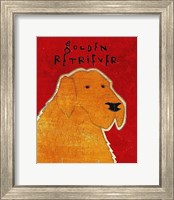 Framed Golden Retriever