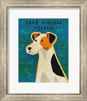 Framed Jack Russell Terrier