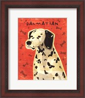 Framed Dalmation