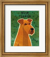 Framed Irish Terrier