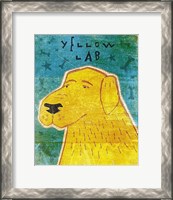Framed Lab (yellow)