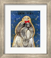 Framed Shih Tzu