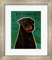 Framed Rottweiler