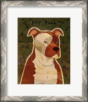 Framed Pit Bull