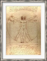 Framed Vitruvian Man