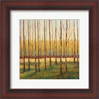 Framed Grove of Trees